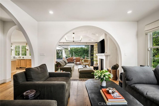 living room with wood-type flooring