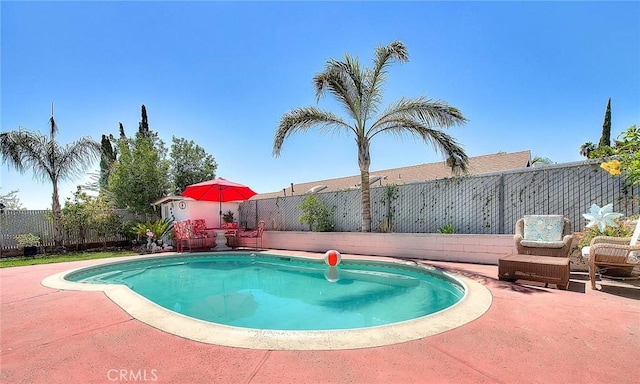 view of swimming pool featuring a patio area