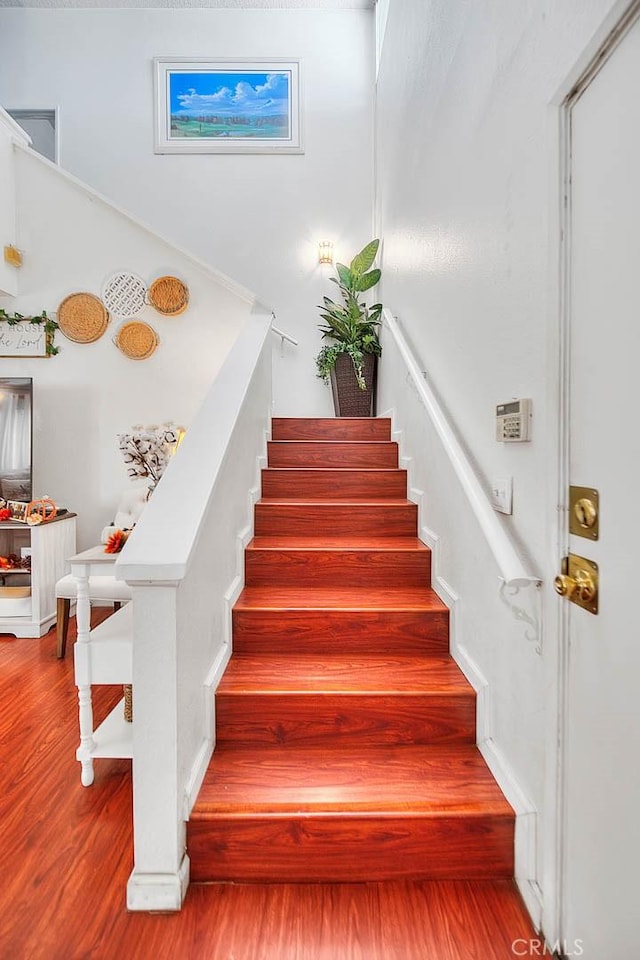 staircase featuring wood-type flooring