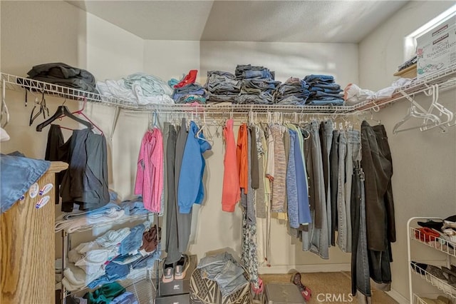 view of walk in closet