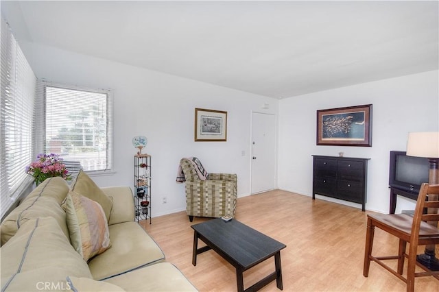 living room featuring light hardwood / wood-style floors