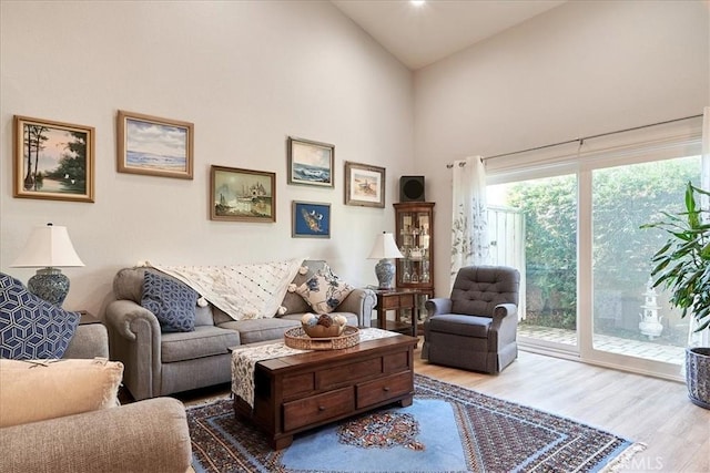 living room featuring high vaulted ceiling and hardwood / wood-style floors