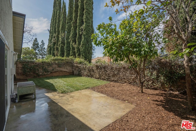 view of yard featuring a patio area