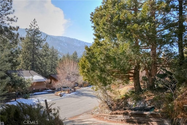 1074 Yellowstone Dr, Wrightwood, CA 92397 - photo 20
