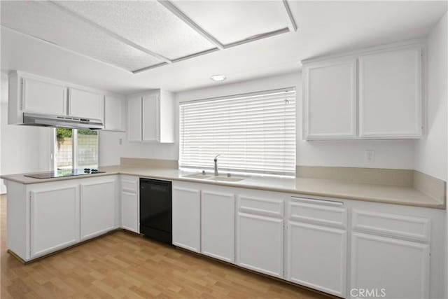 kitchen with under cabinet range hood, a sink, black appliances, and light wood-type flooring