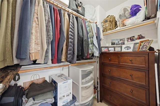 view of walk in closet