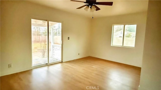 empty room with wood-type flooring and ceiling fan