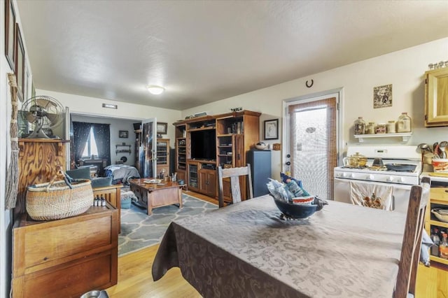 dining space with light hardwood / wood-style flooring