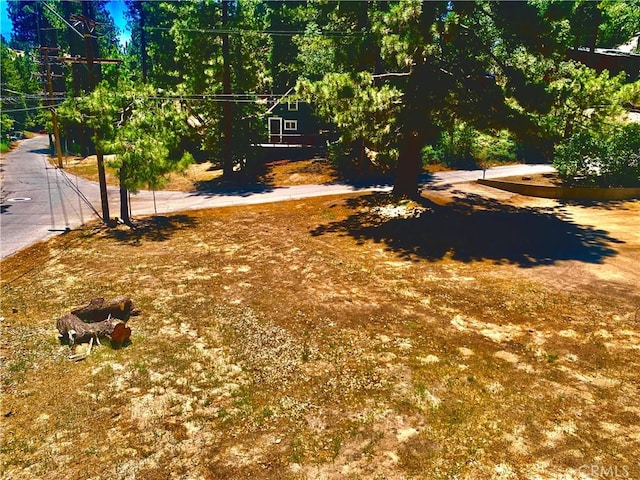 540 Yukon Rd, Green Valley Lake, CA 92341 - photo 6