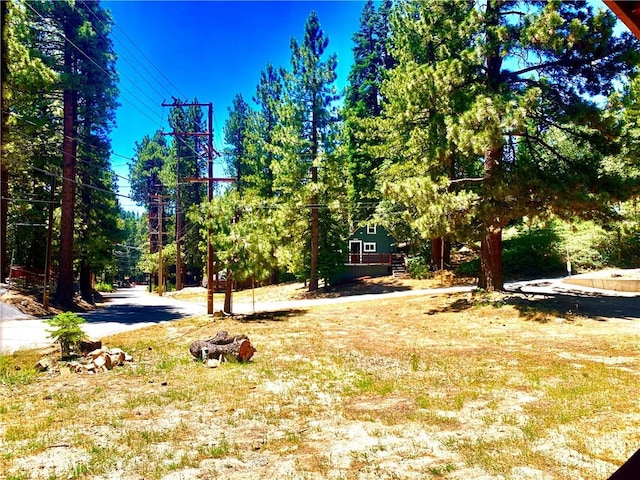 540 Yukon Rd, Green Valley Lake, CA 92341 - photo 8