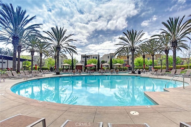 view of swimming pool featuring a patio