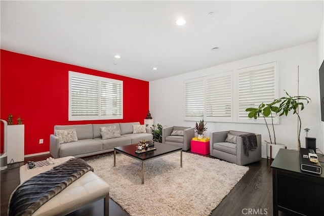 living room featuring dark wood-type flooring