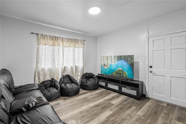 living room featuring hardwood / wood-style flooring