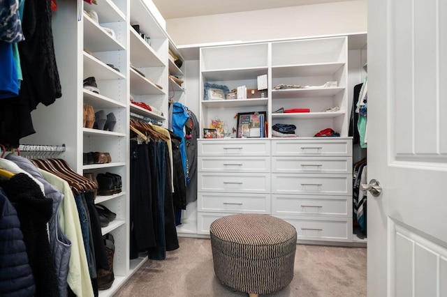 walk in closet featuring light carpet