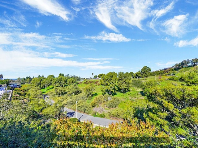 931 Gardenia Way, Corona Del Mar, CA 92625 - view of landscape