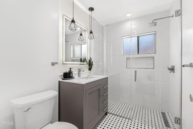 bathroom with a shower stall, toilet, and vanity