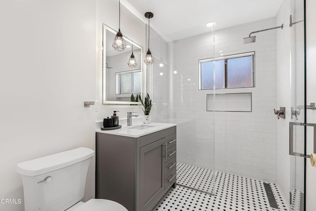 bathroom featuring toilet, a shower stall, and vanity