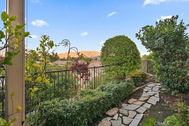 24238 Owl Ct, Corona, CA 92883 - view of yard with fence and a mountain view