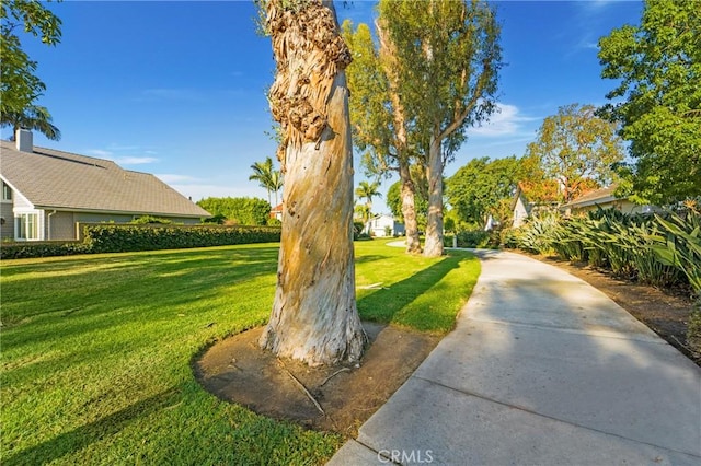 view of community featuring a lawn