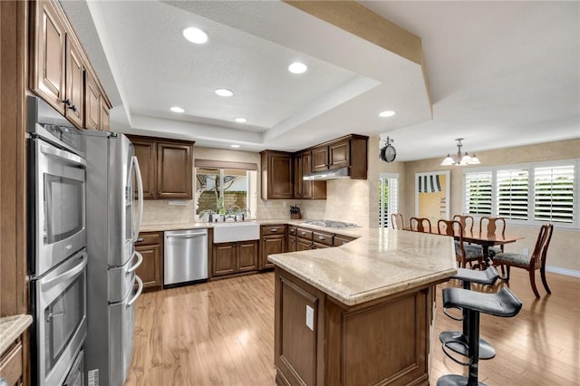 kitchen with light hardwood / wood-style flooring, stainless steel appliances, kitchen peninsula, decorative light fixtures, and a raised ceiling