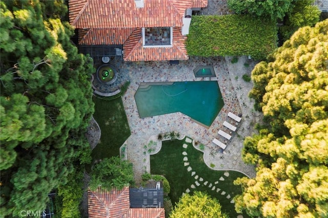 bird's eye view
