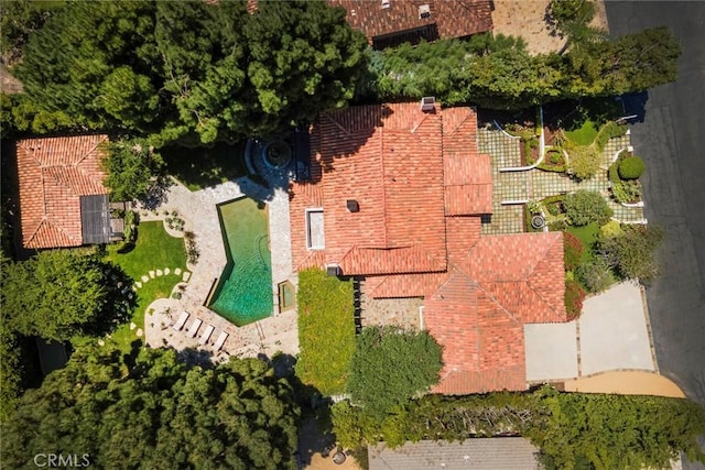 drone / aerial view