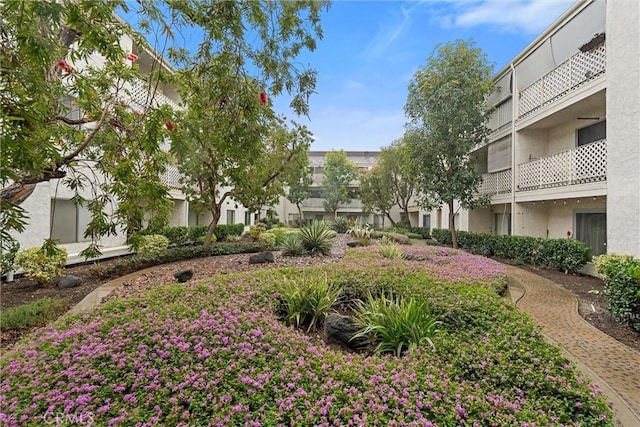 3565 Linden Ave Unit 220, Long Beach, CA 90807 - view of property's community