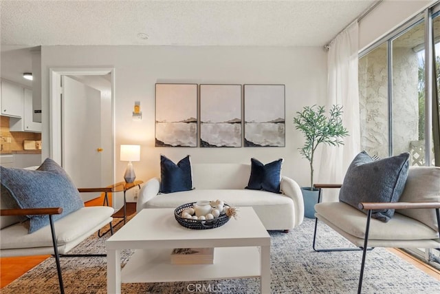 living room with wood-type flooring and a textured ceiling