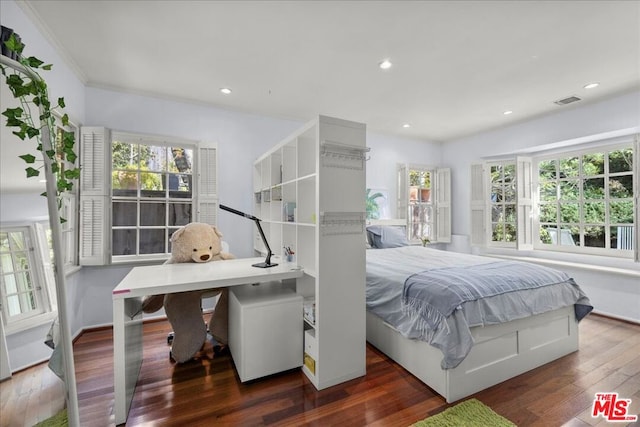 bedroom featuring multiple windows and dark hardwood / wood-style floors