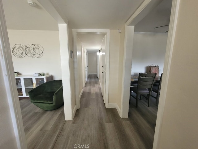 hallway featuring wood-type flooring