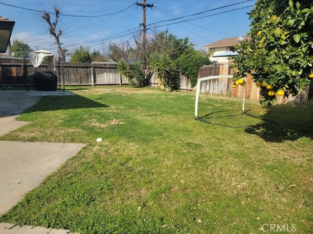 view of yard with a patio