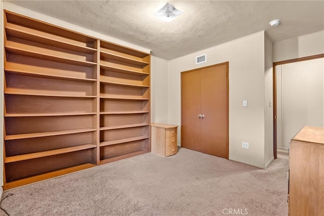 interior space featuring light carpet and a textured ceiling