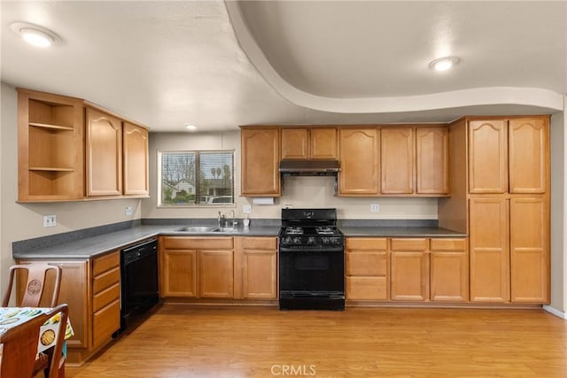 kitchen with sink, light hardwood / wood-style flooring, and black appliances