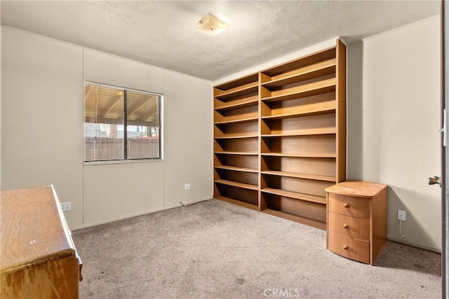 unfurnished bedroom featuring light carpet and a textured ceiling