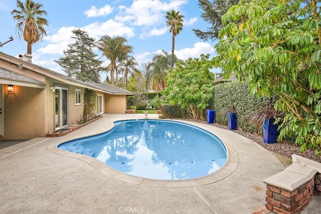 view of pool featuring a patio area and a fenced in pool