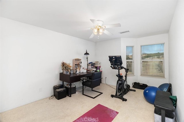 40350 Exa Ely Rd, Hemet, CA 92544 - workout room with carpet and ceiling fan