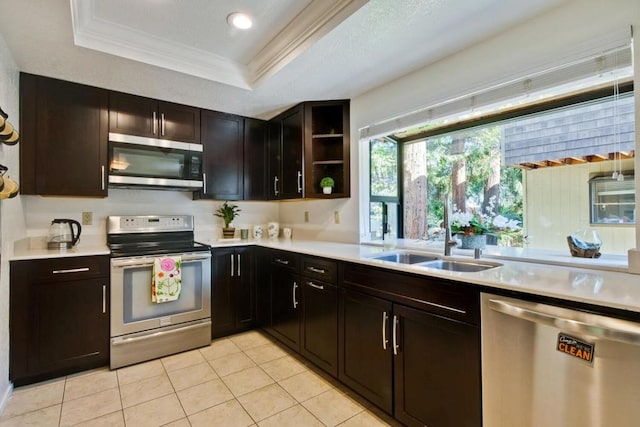 kitchen with sink, crown molding, appliances with stainless steel finishes, dark brown cabinetry, and a raised ceiling