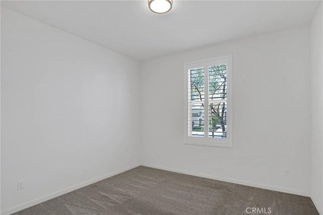 spare room with carpet floors