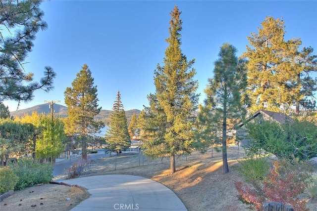 surrounding community featuring a mountain view