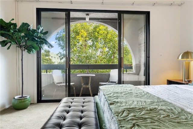 bedroom with multiple windows, carpet floors, and access to outside