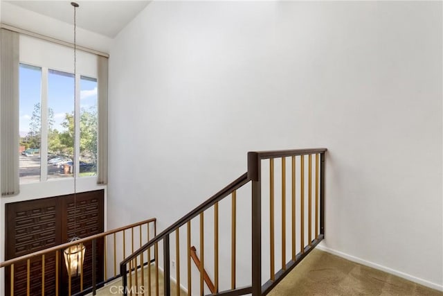 staircase featuring carpet