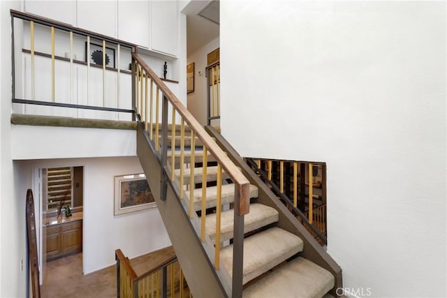 staircase featuring carpet