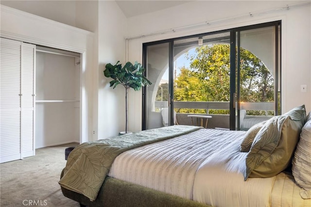 carpeted bedroom with multiple windows, access to outside, and a closet