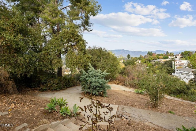 view of local wilderness featuring a mountain view