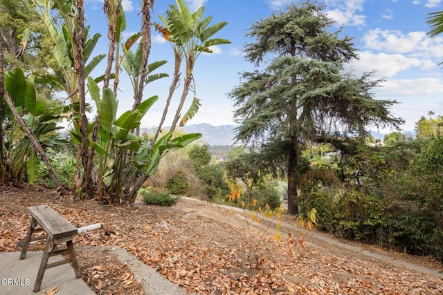 view of yard featuring a mountain view