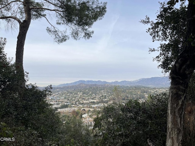 view of mountain feature