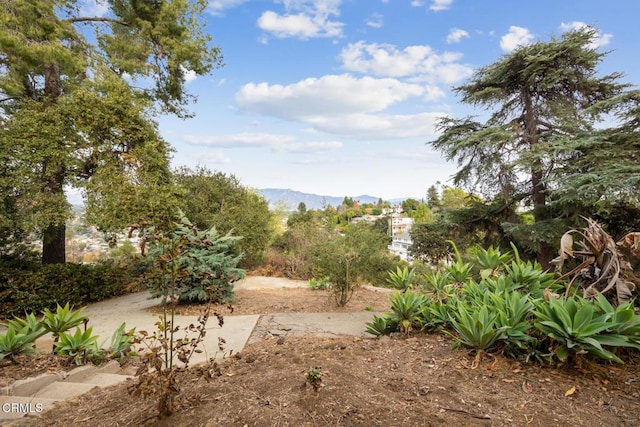 view of landscape featuring a mountain view