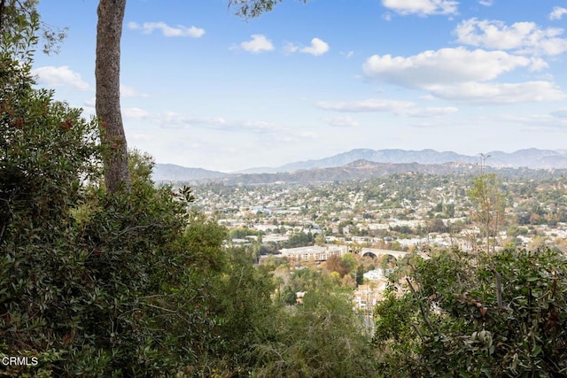 view of mountain feature