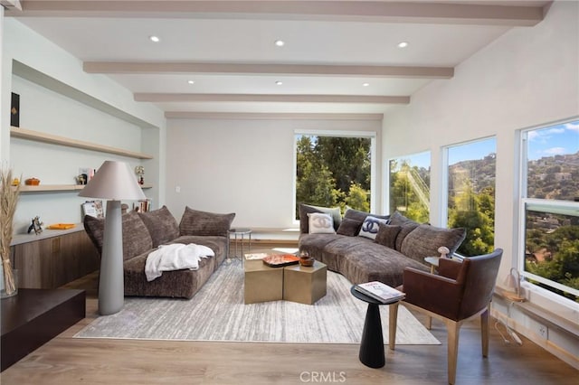 living room featuring beam ceiling, hardwood / wood-style flooring, and a healthy amount of sunlight