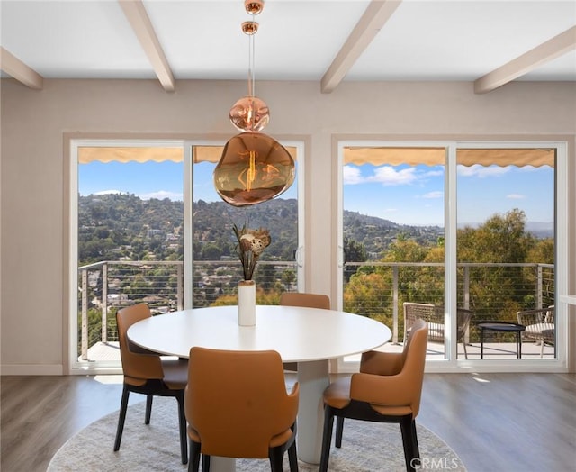 dining area featuring beam ceiling, a healthy amount of sunlight, and wood finished floors